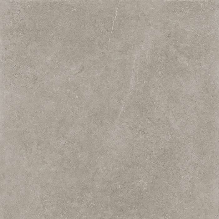 Керамогранит Panaria Prime Stone Silver Prime Soft RTT PGWPM20, цвет серый, поверхность матовая, квадрат, 600x600