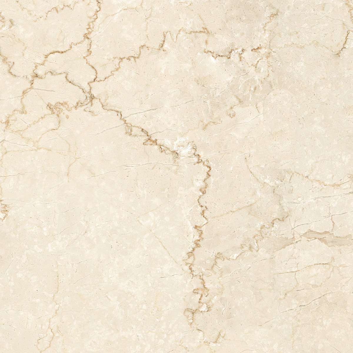 Керамогранит Arcana Marble Classique-R Arena, цвет бежевый, поверхность полированная, квадрат, 593x593