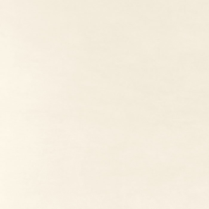 Керамогранит Panaria Experience Bianco Denso PG8EX00, цвет белый, поверхность матовая, квадрат, 1000x1000