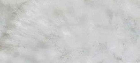 Керамогранит Roberto Cavalli Bright Pearl Snow Rett. 531301, цвет серый, поверхность матовая, прямоугольник, 800x1800