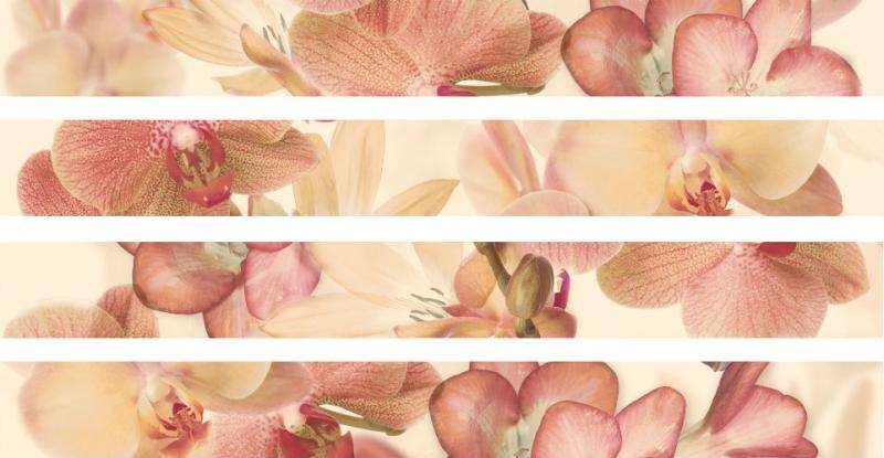 Бордюры Estile Aure Cenefa Orchides Marron, цвет бежевый, поверхность матовая, прямоугольник, 50x450