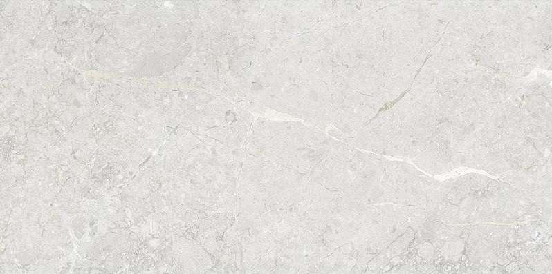 Керамогранит Art & Natura Una Pietra Silver Glossy, цвет серый, поверхность глянцевая полированная, прямоугольник, 600x1200