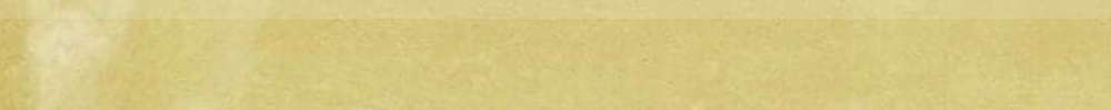 Бордюры Wow Fez Bullnose Mustard Gloss 114748, цвет жёлтый, поверхность глянцевая, прямоугольник, 35x125