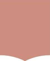 Клинкер Ornamenta Tale C Muted Clay TL1014MCO, цвет розовый, поверхность матовая, чешуя, 100x140