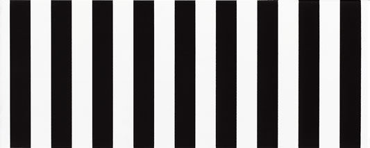 Декоративные элементы Vives Blanco Mate Trentino, цвет чёрно-белый, поверхность матовая, прямоугольник, 200x500