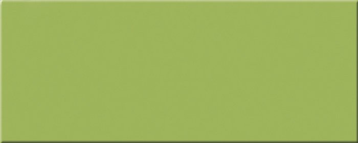 Керамическая плитка Superceramica Happy Pistacho Br 9115-43, цвет зелёный, поверхность глянцевая, прямоугольник, 200x500