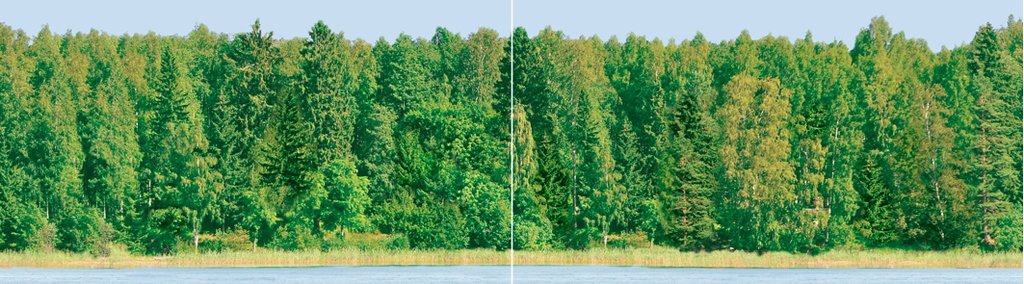 Панно Ceradim Forest Dec Panno, цвет зелёный, поверхность глянцевая, прямоугольник, 250x900