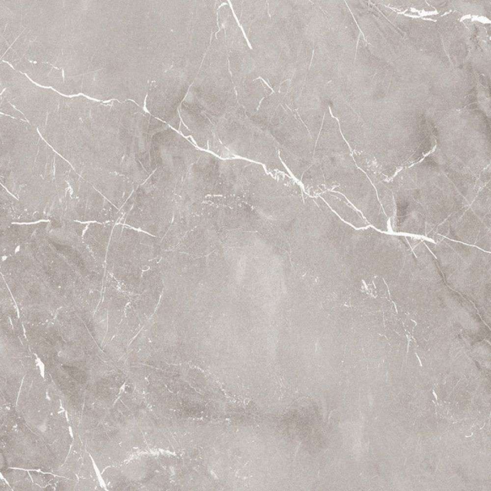 Керамогранит Ariana Epoque Grey Ret PF60004309, цвет серый, поверхность матовая, квадрат, 600x600