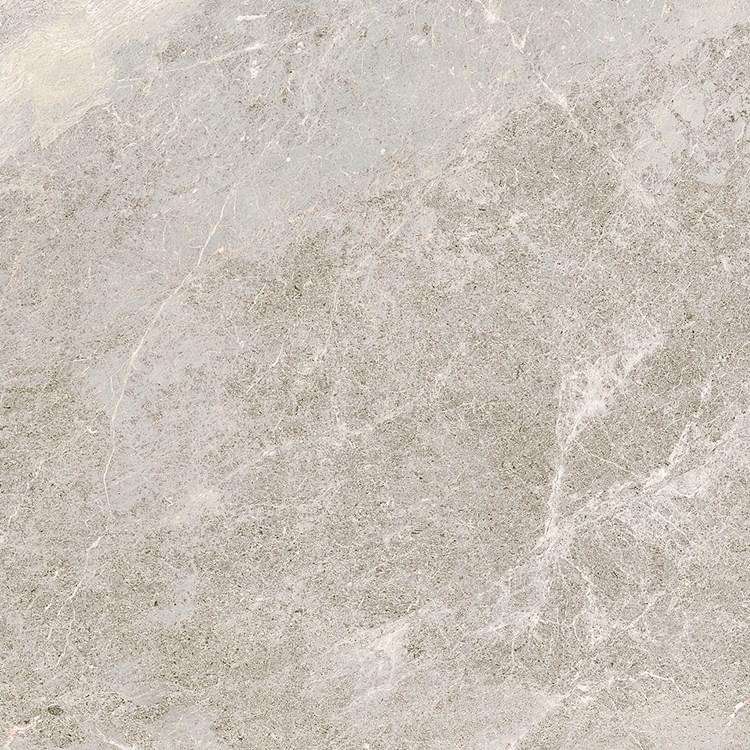 Керамогранит Monocibec Pietre Naturali Tame Stone Rettificato 107615, цвет серый, поверхность матовая, квадрат, 600x600