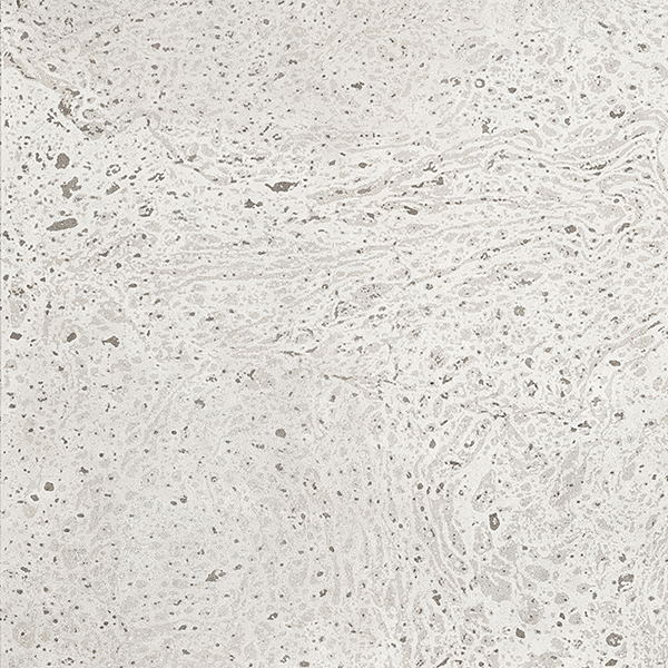 Керамогранит Grifine Ceramics Florence NS60171JB, цвет серый, поверхность полированная, квадрат, 600x600