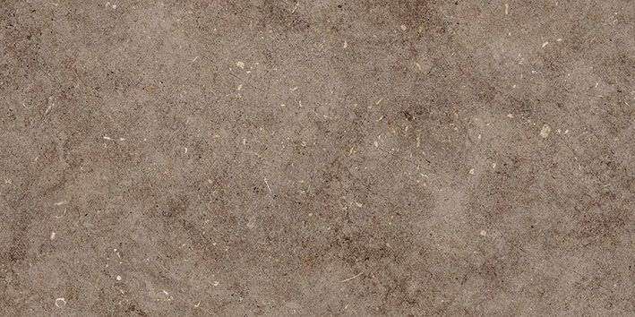 Керамическая плитка Керамин Болонья 4, цвет коричневый, поверхность матовая, прямоугольник, 300x600