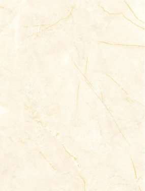 Керамическая плитка Cinca Evora Beige 0878, цвет бежевый, поверхность матовая, прямоугольник, 250x330