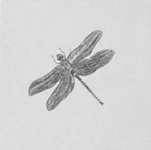 Декоративные элементы Cevica Dec. Dragonfly Gris Prov.Blanco, цвет белый, поверхность глянцевая, квадрат, 100x100