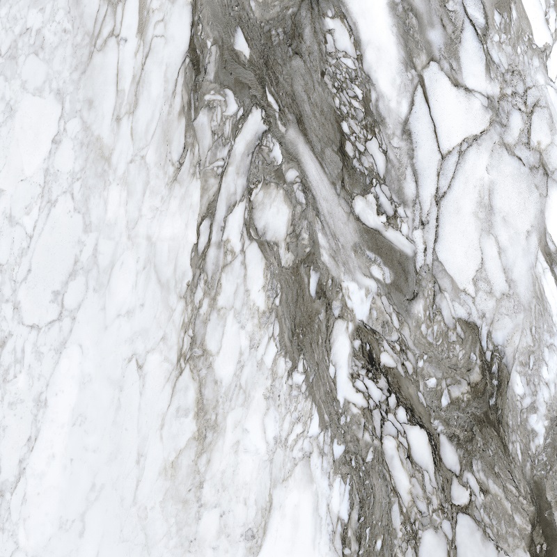 Керамогранит Roberto Cavalli Lush Calacatta Renior Lux Ret. 500849, цвет чёрно-белый, поверхность полированная, квадрат, 1200x1200