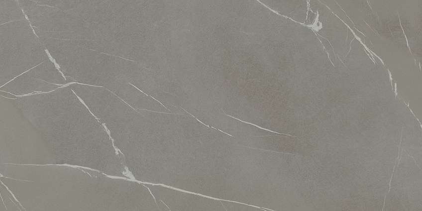 Широкоформатный керамогранит Laminam In-Side Pietra Piasentina Grigio Naturale LAMF009553_IT (Толщина 12 мм), цвет серый, поверхность натуральная, прямоугольник, 1600x3200