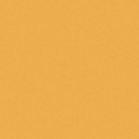Керамическая плитка Marazzi Italy Citta Bombay MEGQ, цвет оранжевый, поверхность матовая, квадрат, 100x100