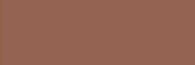 Керамическая плитка Heralgi Garden Marron Liso, цвет коричневый, поверхность глянцевая, прямоугольник, 100x300