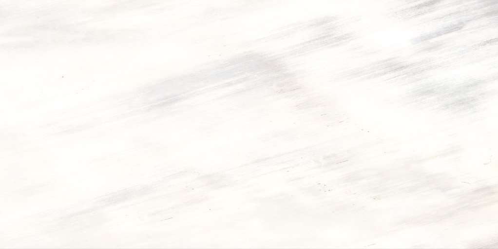 Керамогранит Roberto Cavalli Tanduk Bianco Rett. 556701, цвет белый, поверхность матовая, прямоугольник, 600x1200