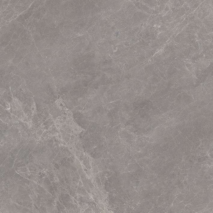 Керамогранит Porcelanosa Mystic Grey L 100336927, цвет серый, поверхность матовая, квадрат, 800x800