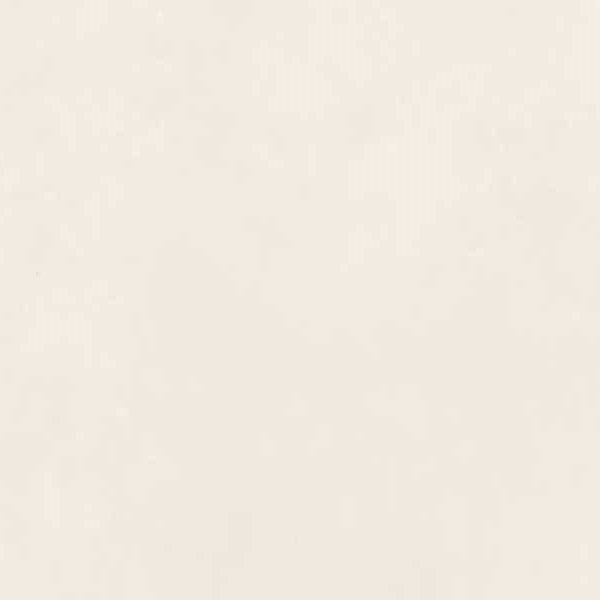 Керамогранит Impronta Nuances Bianco NU0168, цвет белый, поверхность матовая, квадрат, 600x600
