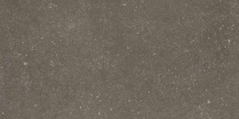 Керамогранит Kerlite Buxy Cendre (3.5 mm), цвет серый, поверхность матовая, прямоугольник, 500x1000