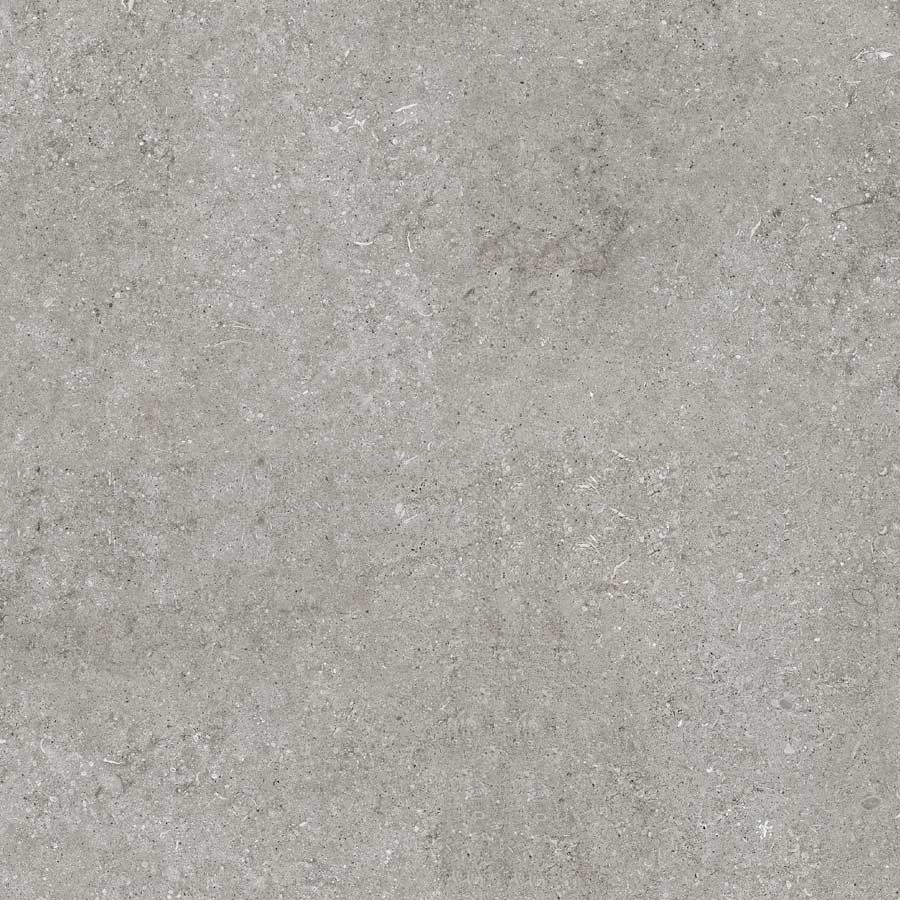 Керамогранит Casa Dolce Casa Sensi Grey Fossil 768370, цвет серый, поверхность матовая, квадрат, 800x800