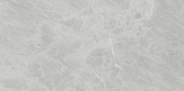 Керамогранит Ariostea Gris De Savoie Luc PL612498, цвет серый, поверхность полированная, прямоугольник, 600x1200