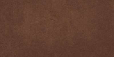 Керамогранит Vives Ruhr-SPR Moka, цвет коричневый, поверхность полированная, прямоугольник, 293x593
