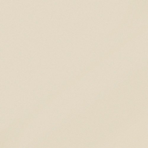 Керамогранит Керамика будущего Моноколор (MR) CF 100 Аворио, цвет бежевый, поверхность матовая, квадрат, 600x600
