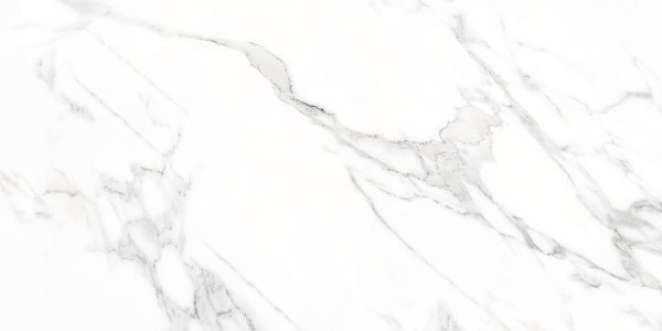 Керамогранит Vives Marblelous Doney-R Blanco Pulido, цвет белый, поверхность полированная, прямоугольник, 593x1193