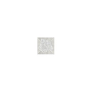 Вставки Versace Meteorite Toz.Medusa Lap Bian/Plat 47313, цвет белый, поверхность лаппатированная, квадрат, 27x27