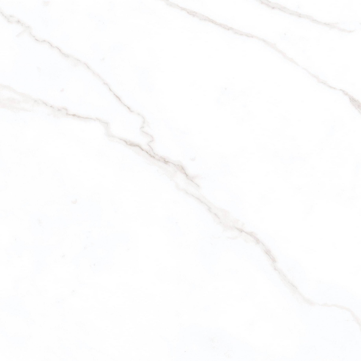 Керамогранит Belleza Calсutta Bianco 00-00000149, цвет белый, поверхность полированная, квадрат, 600x600