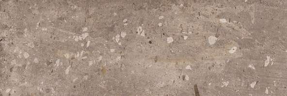 Керамическая плитка Нефрит керамика Тресса 00-00-5-17-01-15-1027, цвет коричневый, поверхность матовая, прямоугольник, 200x600