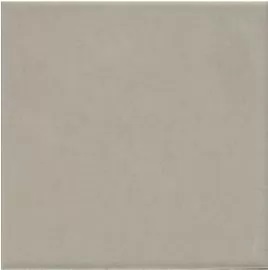 Керамогранит Topcer Field Material Square L4401, цвет серый, поверхность матовая, квадрат, 100x100