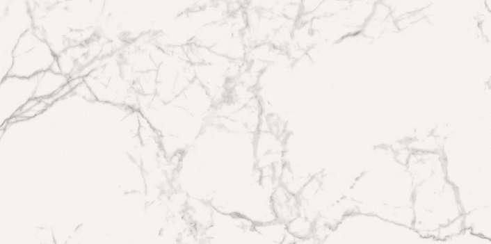 Керамогранит Alfalux Canova Pro Luni Luc. Ret. T202385, цвет серый, поверхность полированная, прямоугольник, 450x900