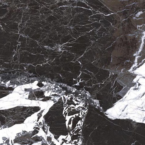 Керамогранит Roberto Cavalli Lush Noir Antique Lux 500884, цвет чёрно-белый, поверхность полированная, квадрат, 594x594