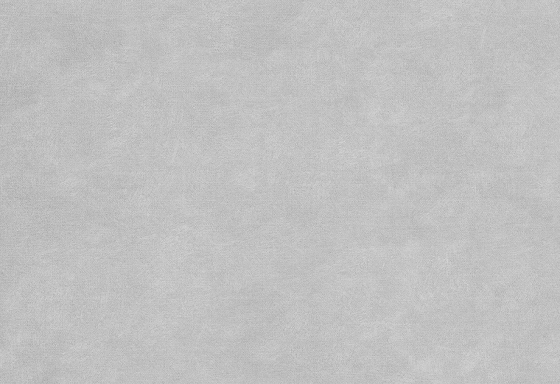 Керамическая плитка Керамин Ассам 1, цвет серый, поверхность матовая, прямоугольник, 275x400