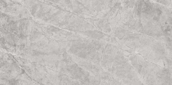 Керамогранит Sant Agostino Themar Grigio Savoia 4590 CSAGSA4590, цвет серый, поверхность матовая, прямоугольник, 450x900