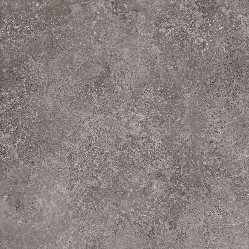 Керамогранит Terratinta Stonenature Fossil TTSN0311N, цвет серый, поверхность матовая, квадрат, 100x100