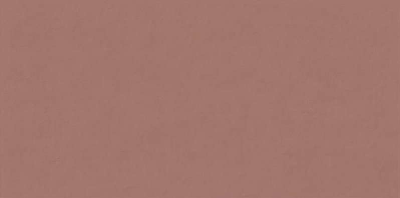 Керамическая плитка ABK Wide&Style Mini Paprika Ret PF60008237, цвет коричневый, поверхность матовая, прямоугольник, 600x1200