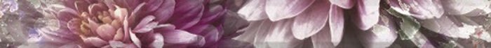 Бордюры Azulejos Alcor Lugano Cenefa Floral 2pz Lila, цвет розовый, поверхность глянцевая, прямоугольник, 48x500