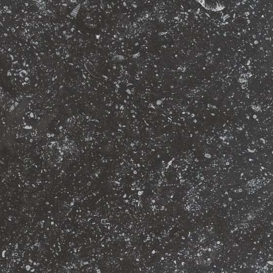 Керамогранит Equipe Coralstone Black 23569, цвет чёрный, поверхность матовая, квадрат, 200x200