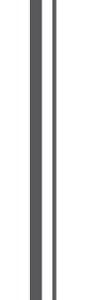 Декоративные элементы Vives Evia Boiserie Vertical Simple Derecha L, цвет чёрно-белый, поверхность матовая, прямоугольник, 250x750