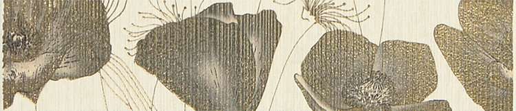 Бордюры Rodnoe Dorati Cenefa Siena/Beige, цвет бежевый, поверхность матовая, прямоугольник, 54x250