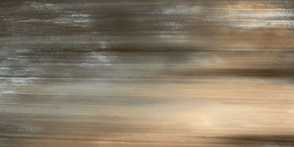 Керамогранит Roberto Cavalli Tanduk Multicolor Rett. 556746, цвет коричневый, поверхность матовая, прямоугольник, 600x1200