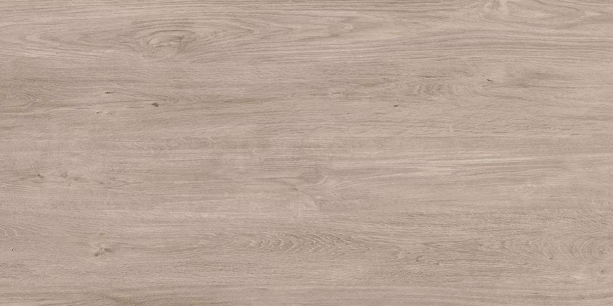 Широкоформатный керамогранит Neolith Timber Winter Dala Silk 12mm, цвет серый, поверхность матовая, прямоугольник, 1600x3200