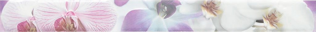 Бордюры Mallol Paris Listelo Orquidea, цвет фиолетовый, поверхность глянцевая, квадрат, 75x750