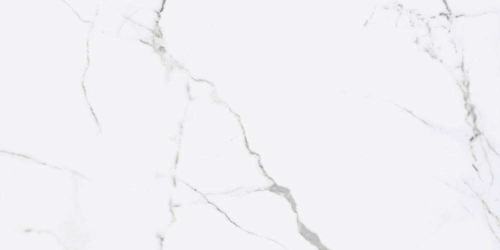 Керамогранит Fanal Iceberg Mat 120E001, цвет белый, поверхность матовая, прямоугольник, 600x1200