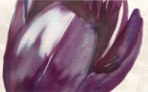 Декоративные элементы Colorker Flor Deco Mora, цвет фиолетовый, поверхность структурированная, прямоугольник, 250x400