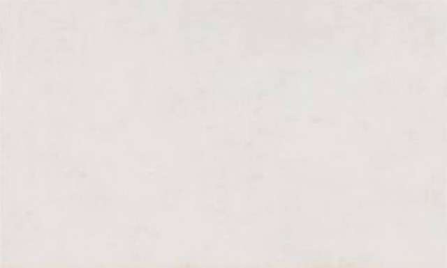 Керамическая плитка Pamesa Gaia Blanko, цвет белый, поверхность матовая, прямоугольник, 333x550